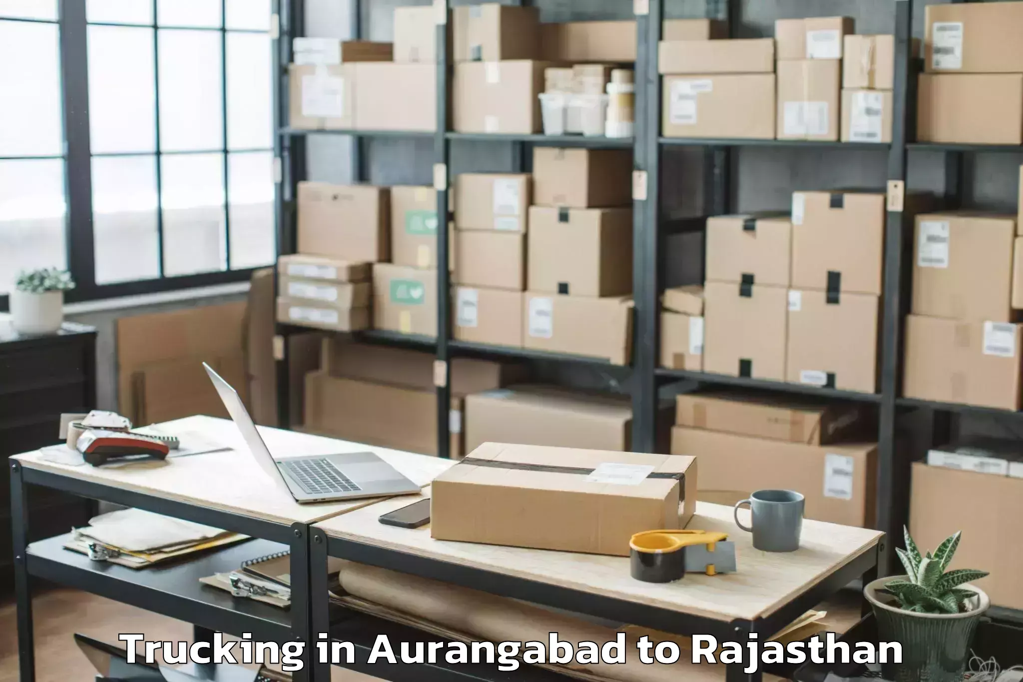 Professional Aurangabad to Hindaun Trucking